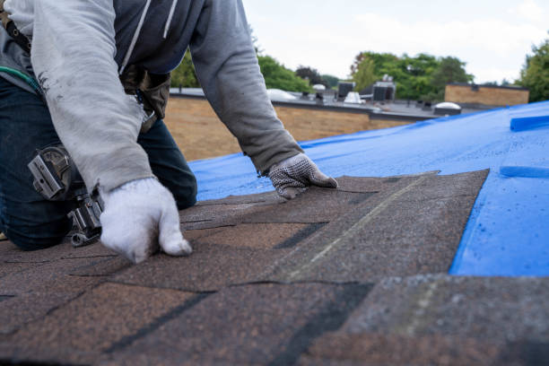 Best Commercial Roof Installation  in Elm Springs, AR